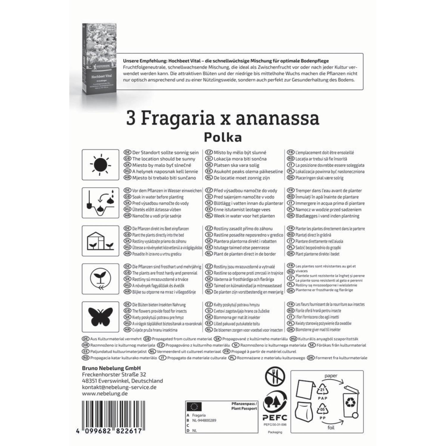 Kiepenkerl Erdbeeren Polka Fragaria x ananassa_2