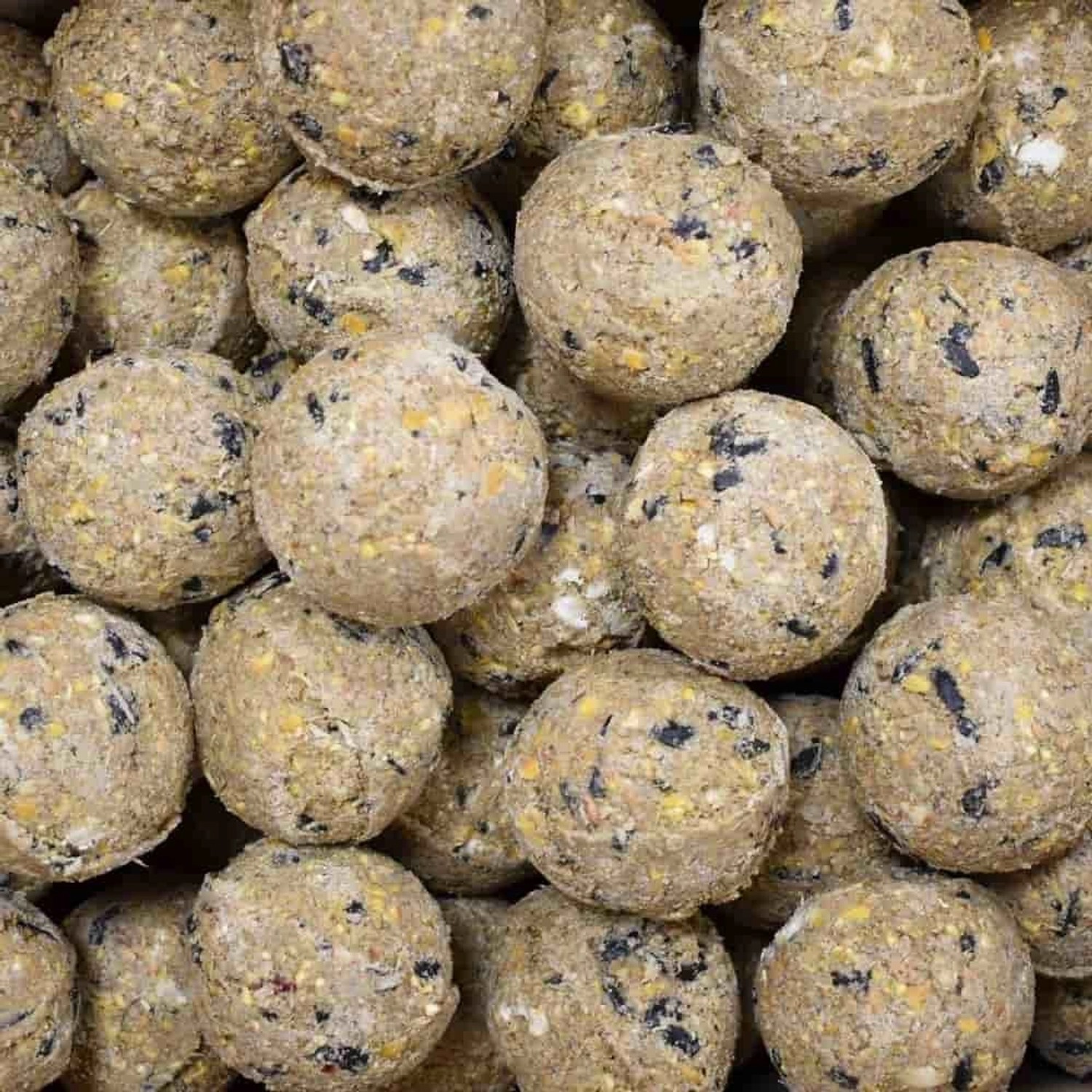 Klasebo MeisenknöDel Premium Mit Insekten 200 X Ca90 Gramm Ohne Netz