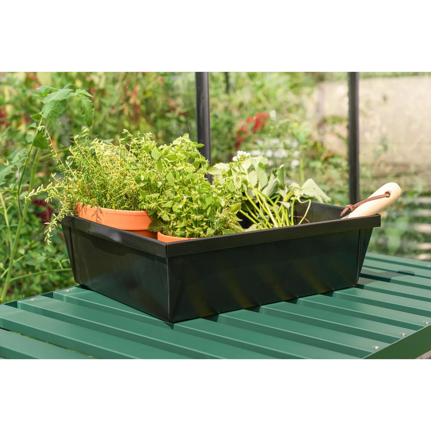 Schwarze Pergart Pflanzwanne aus galvanisiertem Stahl mit Pflanzen und Gartenschaufel.