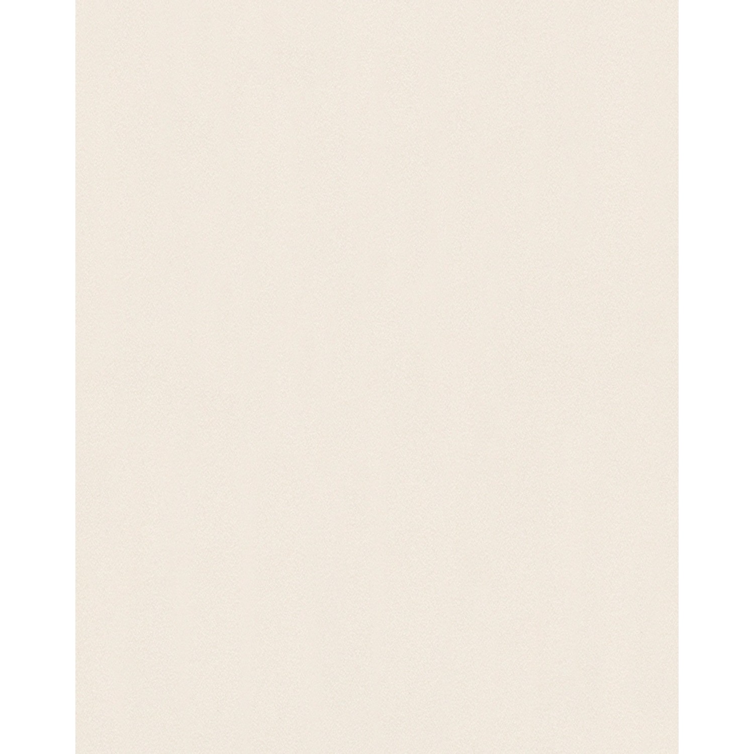Marburg Vliestapete Uni Feinputzoptik Beige 10,05 m x 0,53 m FSC®