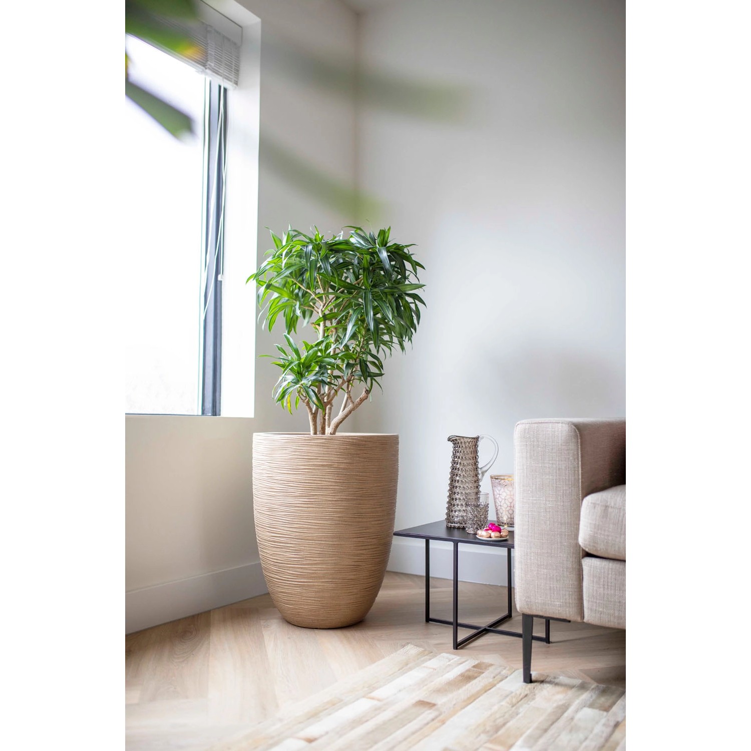 Beiger Capi Übertopf Waste Rib NL Terrazzo, 34x46 cm, mit Pflanze im Wohnraum.