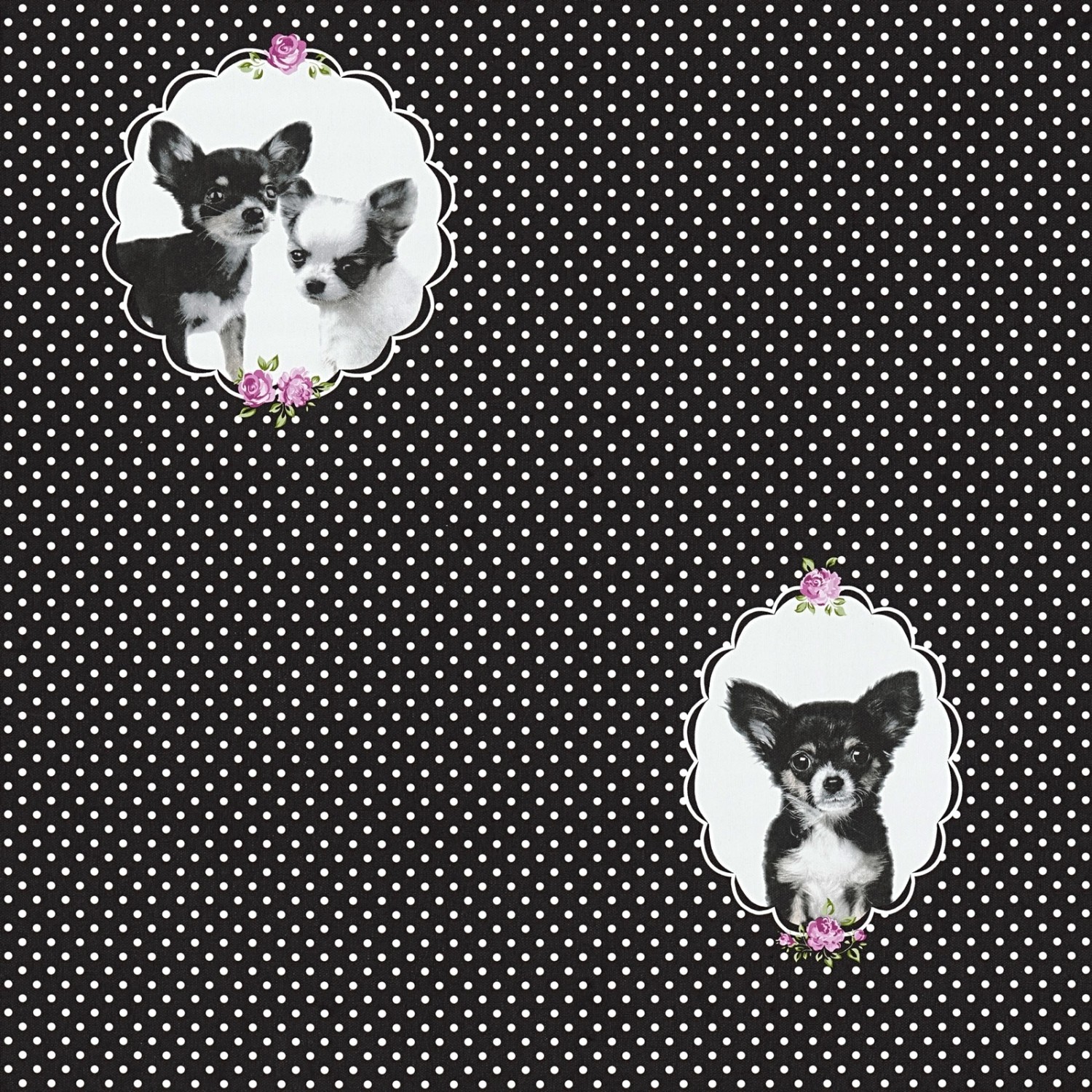 Bricoflor Chihuahua Tapete mit Punkten Tier Vliestapete in Schwarz Weiß Ideal für Mädchenzimmer 50Er Jahre Mädchentapete