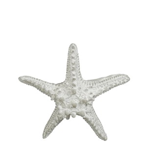 Grauer Deko-Seestern von Mica Decorations, 14,5 cm, maritime Dekofigur für Wohnräume.