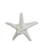 Grauer Deko-Seestern von Mica Decorations, 14,5 cm, maritime Dekofigur für Wohnräume.