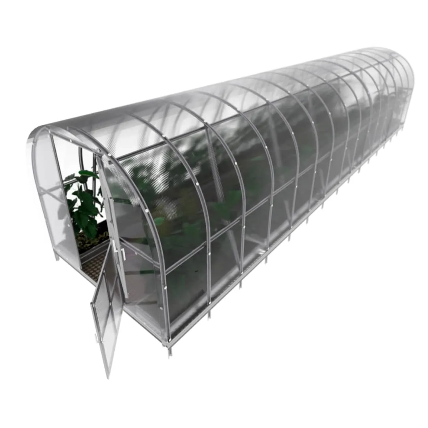 Klasika Greenhouses Arch Gewächshaus, 3x10m, mit Polycarbonatabdeckung und geöffneter Tür.
