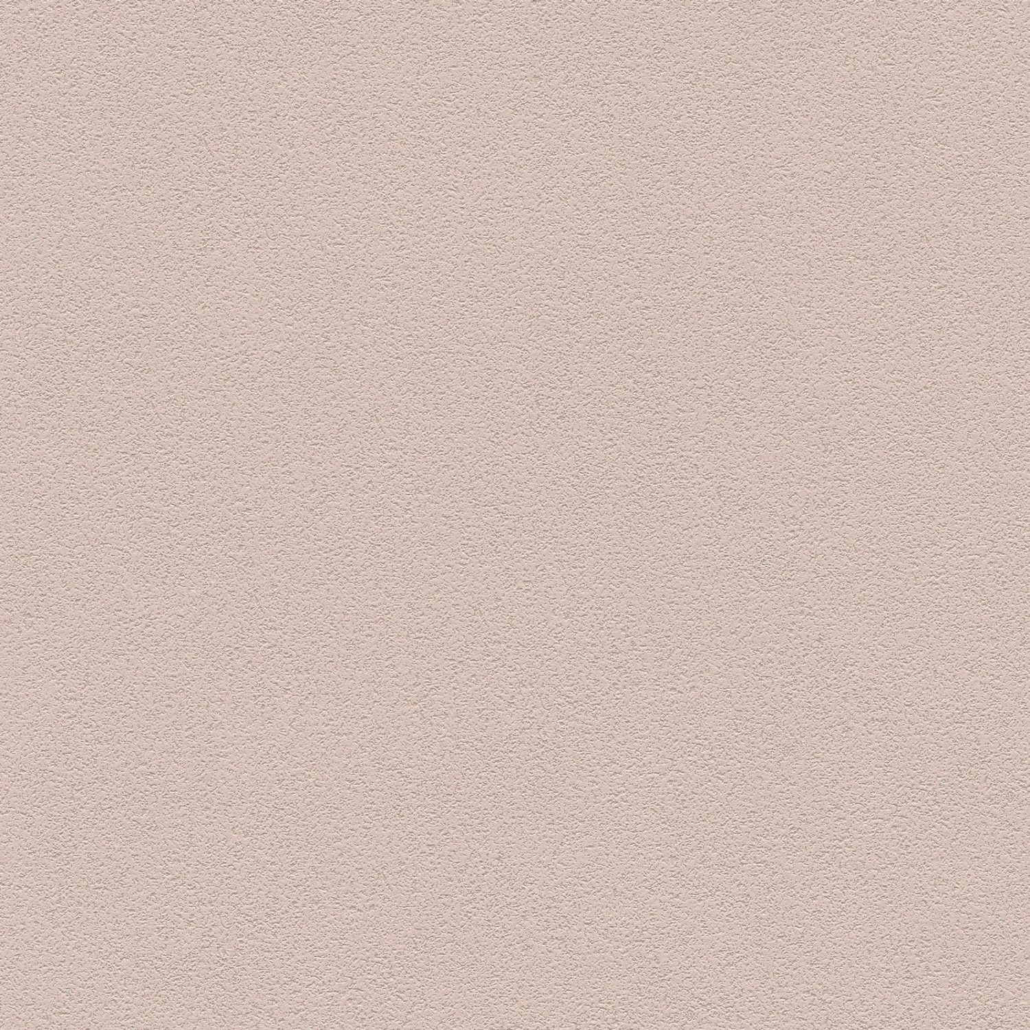 Bricoflor Uni Vliestapete in Taupe Dezent Schlafzimmer und Wohnzimmer Tapete in Beige mit Vinyl Vlies Wandtapete Einfarbig Schlicht