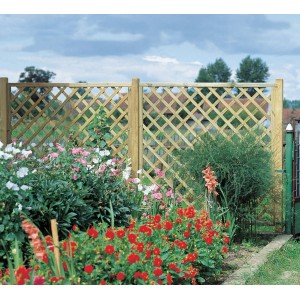 Grünes Rankgitter aus Nadelholz, diagonal, 180x180cm, als Sichtschutz und Kletterhilfe im Garten.