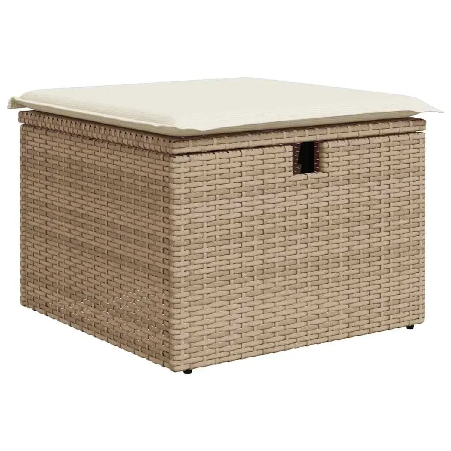 Beiger Gartenhocker aus Rattan mit Kissen und Stauraum, Teil des vidaXL Garten-Sofa-Sets.