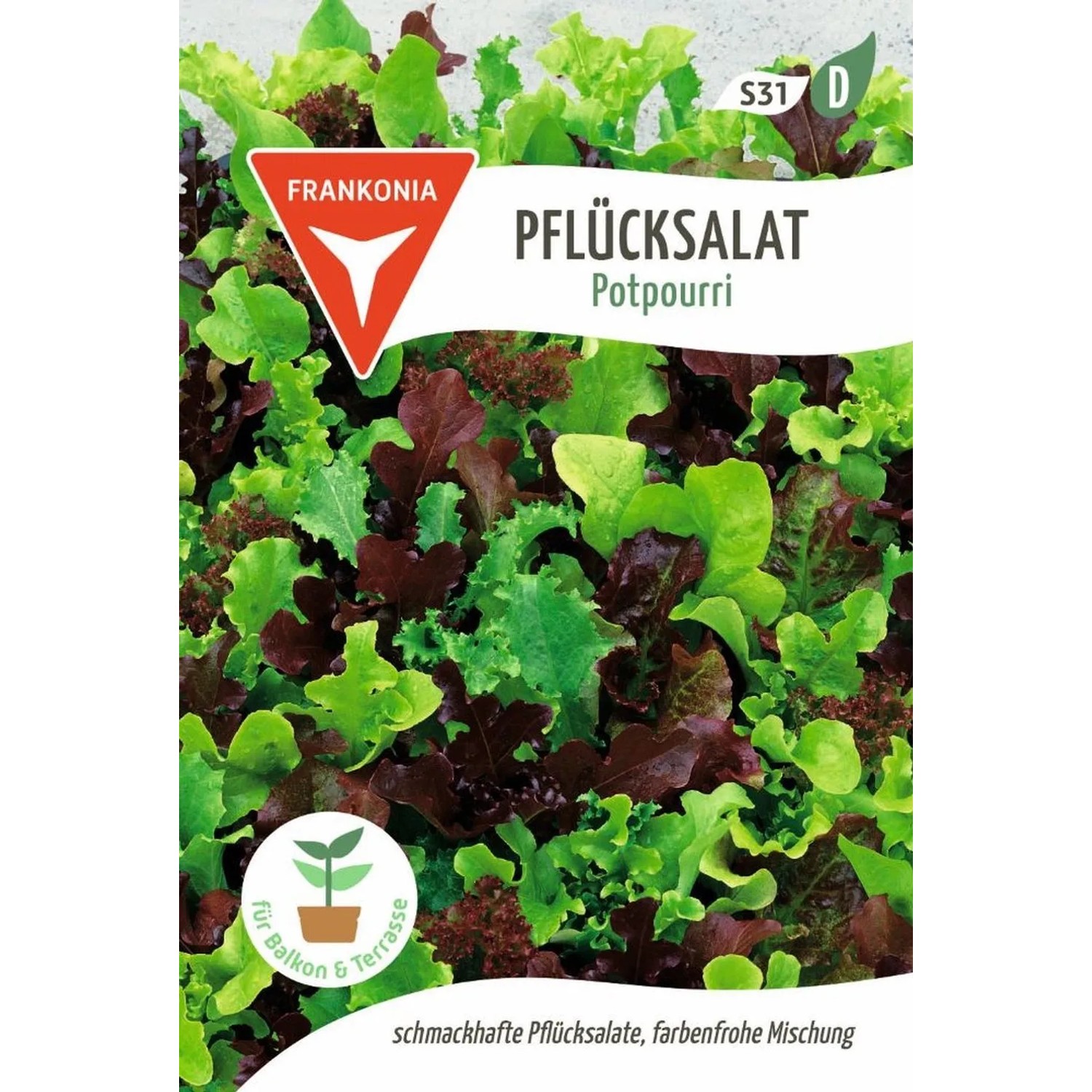 FRANKONIA Pflücksalat Potpourri