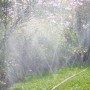 Bewässerung mit braunem Gardena Schlauch-Regner (Länge 15 m) im Garten.