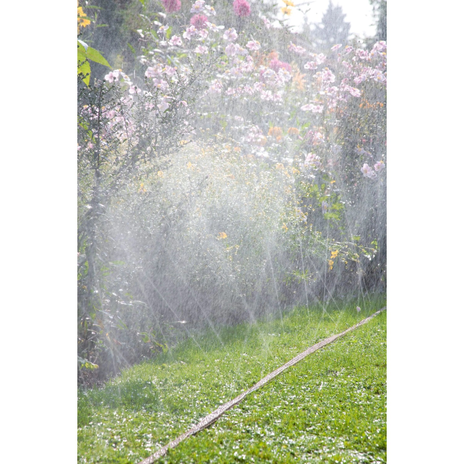 Bewässerung mit braunem Gardena Schlauch-Regner (Länge 15 m) im Garten.