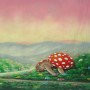 Walimex Pro Motiv-Stoffhintergrund 'Alice' 3X6M Fotohintergrund Video Kamera_7