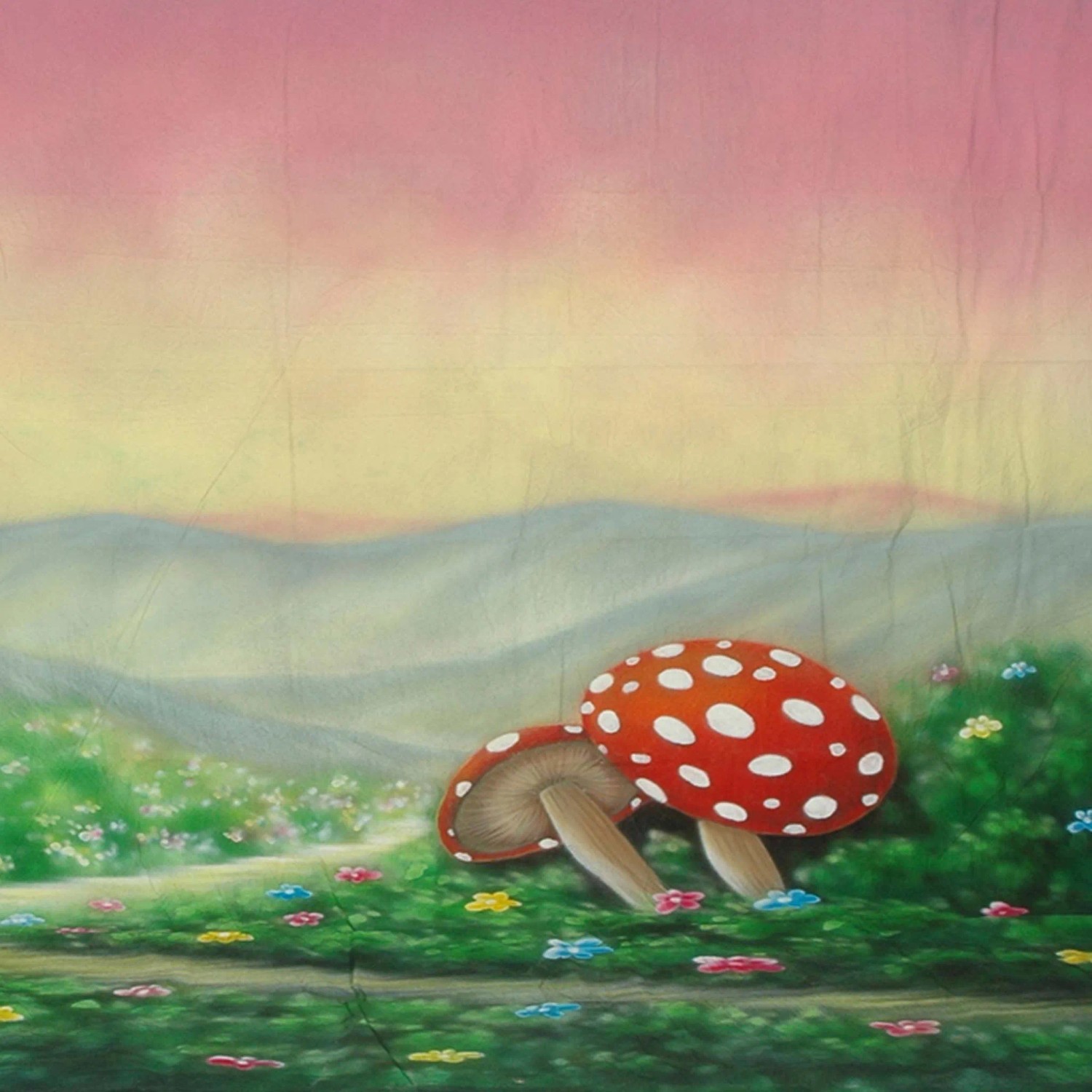Walimex Pro Motiv-Stoffhintergrund 'Alice' 3X6M Fotohintergrund Video Kamera_7