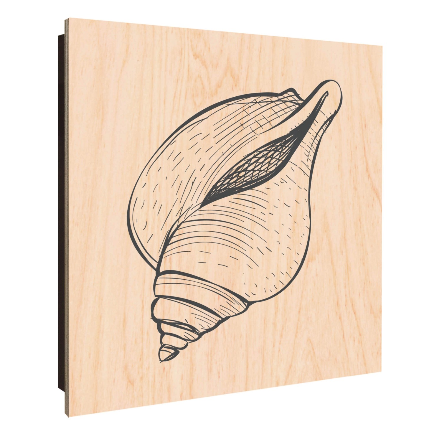 Banjado Großer Schlüsselkasten Holz 30x30cm Schwarz Scharnier Links 50 Hake günstig online kaufen