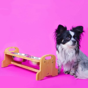 DuneDesign Hundenapf mit 4 Edelstahlschalen auf Bambus-Futterbar, daneben ein kleiner Hund.