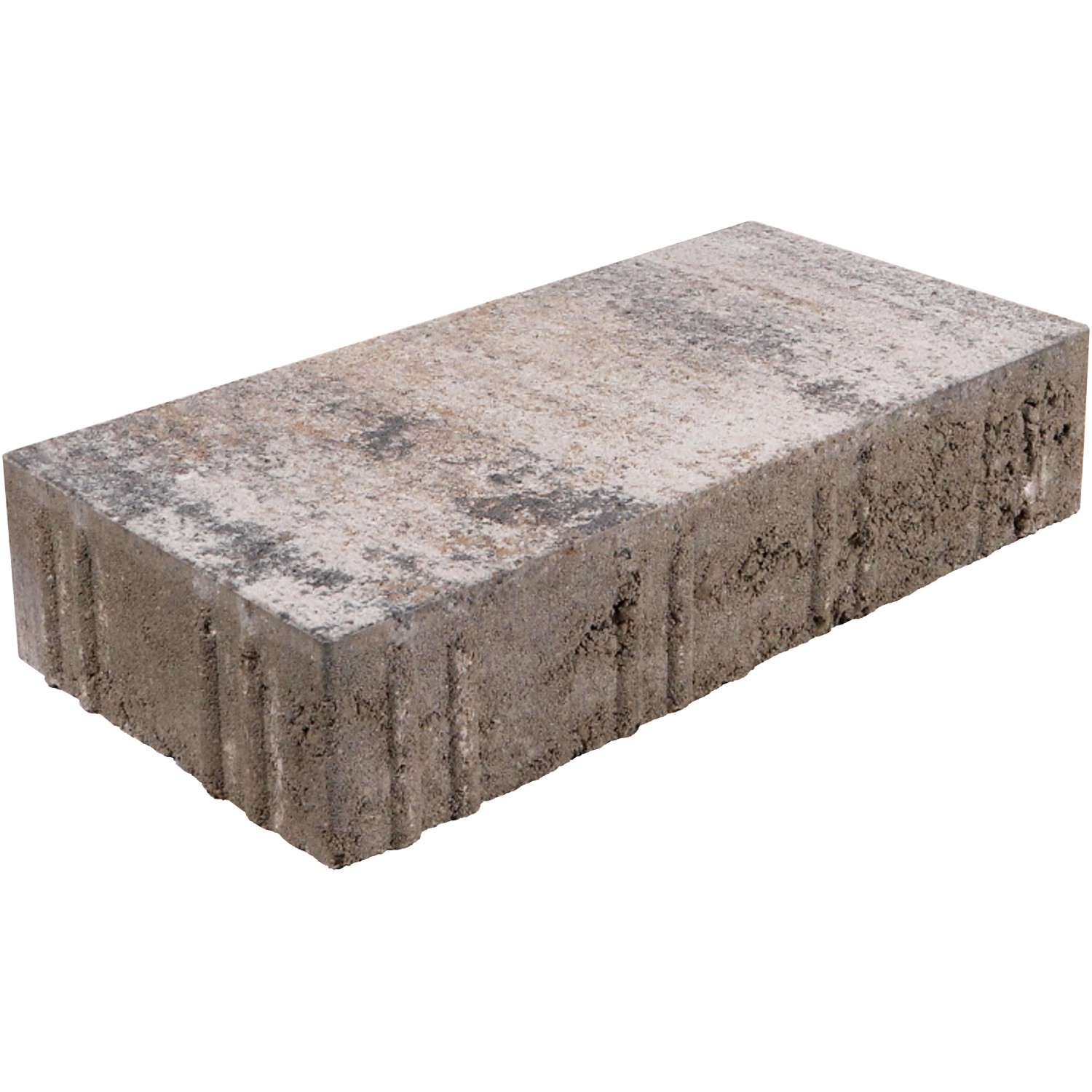 EHL Pflasterstein Veria Muschelcreme 40 cm x 20 cm x 8 cm