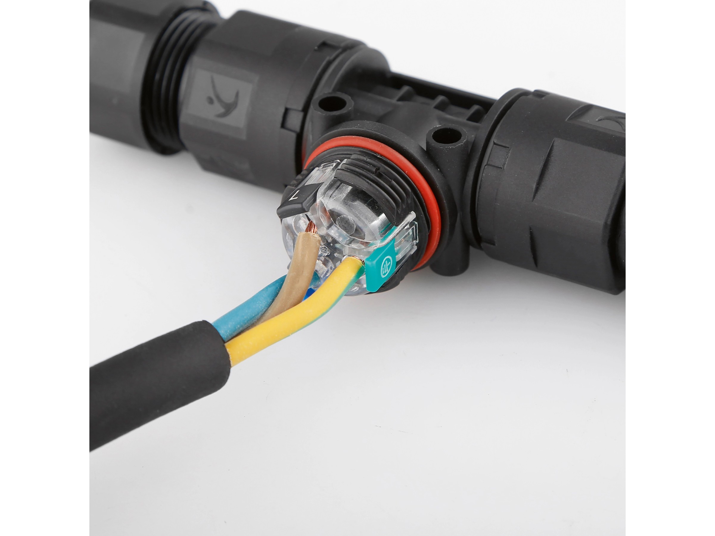 Produkte 80168 Delock Netzwerkkabel RJ45 Stecker Zu RJ45