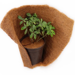 Aquagart Kokos-Mulchscheibe 45cm als Winterschutz für Topfpflanzen.