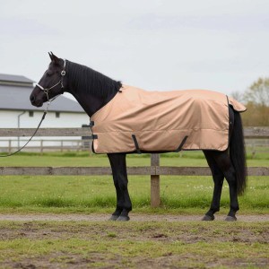 vidaXL Pferdedecke Cappuccino 155 cm Polyester 42013115
