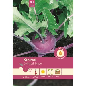 Samen für blauen Kohlrabi 'Delikateß Blauer' von Pabst Keimkraft, mittelfrühe Sorte.