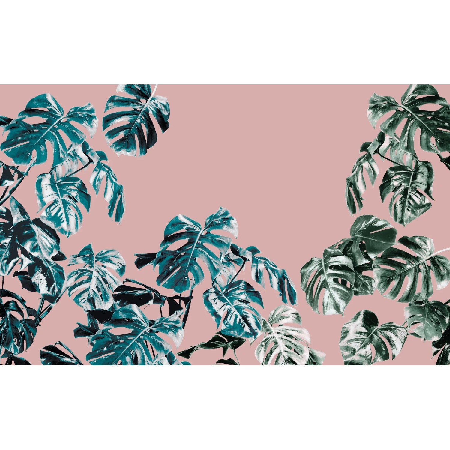 Komar Vliestapete Pure Monstera Rosé, glatt, naturalistisch