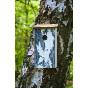 Dobar Nistkasten mit Baumrinde-Aufdruck an einer Birke. Vogelhaus aus Holz für Gartenvögel.