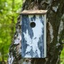 Dobar Nistkasten mit Baumrinde-Aufdruck an einer Birke. Vogelhaus aus Holz für Gartenvögel.