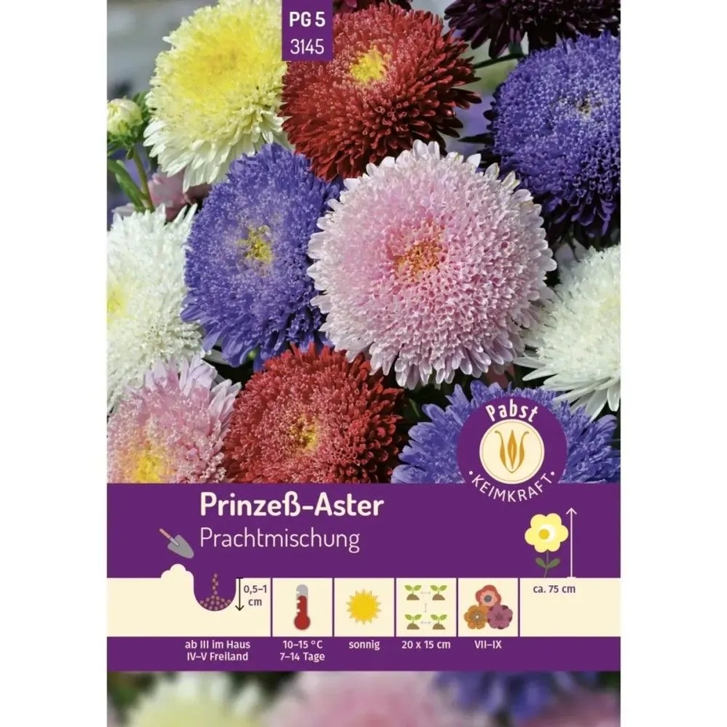 Pabst Keimkraft Prinzeß Aster Prachtmischung Saatgut