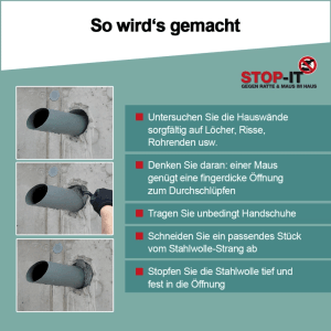 Anleitung: RAKSO Stahlwolle zur Ratten- & Mäuseabwehr in Öffnungen stopfen. Inkl. Handschuhe & Schere.