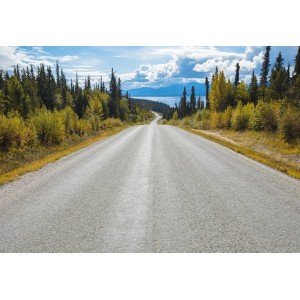 Komar Fototapete Atlin Road: Straße durch grüne Landschaft unter blauem Himmel.