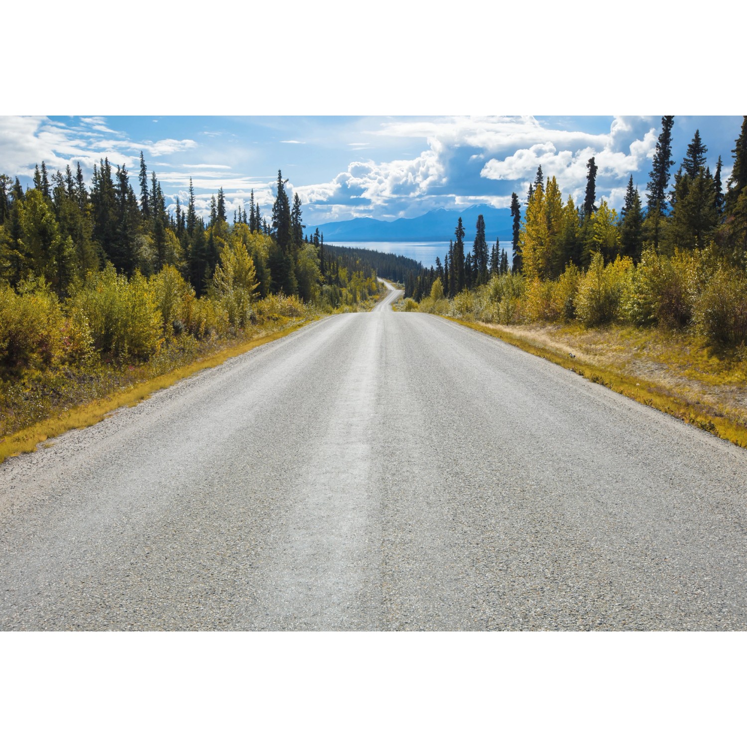 Komar Fototapete Atlin Road 368 cm x 254 cm FSC® günstig online kaufen