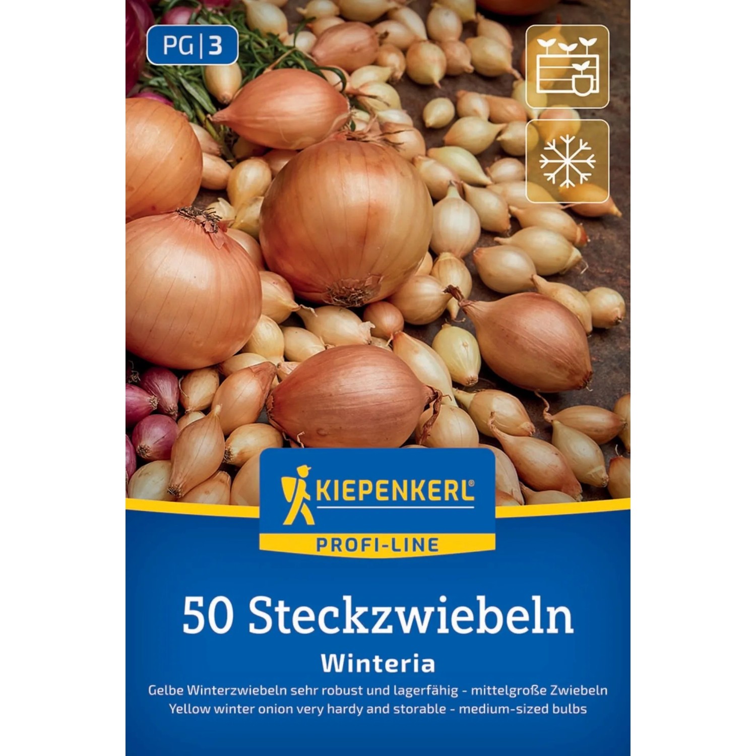 Kiepenkerl Steckzwiebeln Wintersteckzwiebel Winteria - gelb 50 Stück