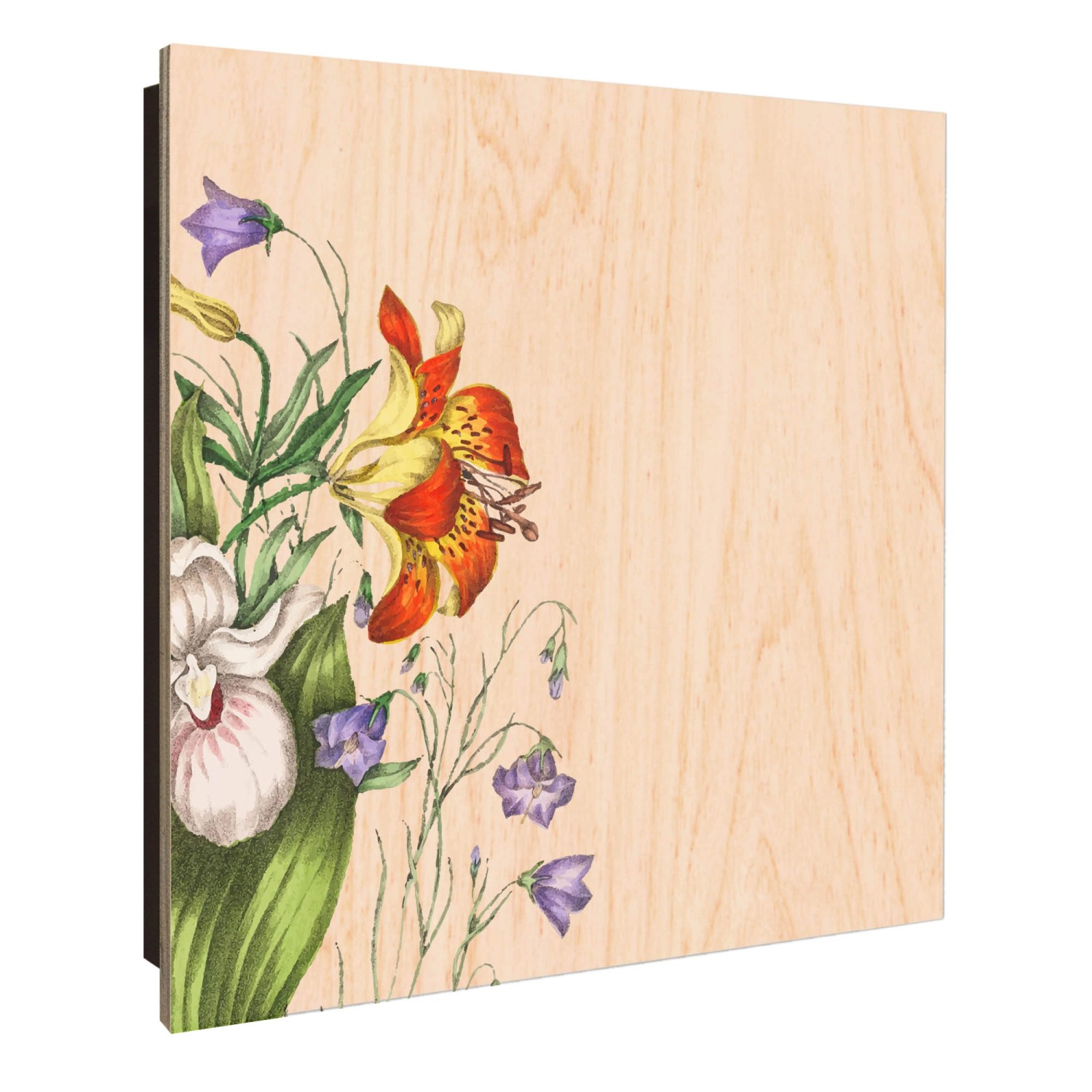 Banjado Großer Schlüsselkasten Holz 30x30cm Schwarz Scharnier Links 50 Hake günstig online kaufen