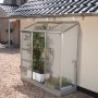 Vitavia Anlehn-Gewächshaus Ida 1300 aus Alu-Blank mit Pflanzen an Hauswand.