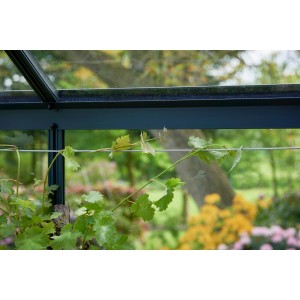 Juliana Stahldraht im Gewächshaus mit Kletterpflanze. Zubehör zur Pflanzenbefestigung.