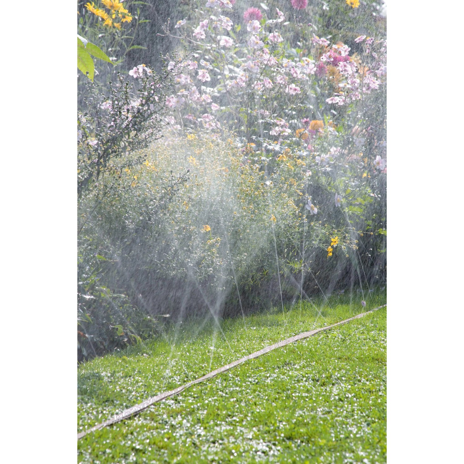 Gardena Schlauch-Regner (15 m, braun) bewässert Rasen und Blumenbeet mit feinem Sprühregen.