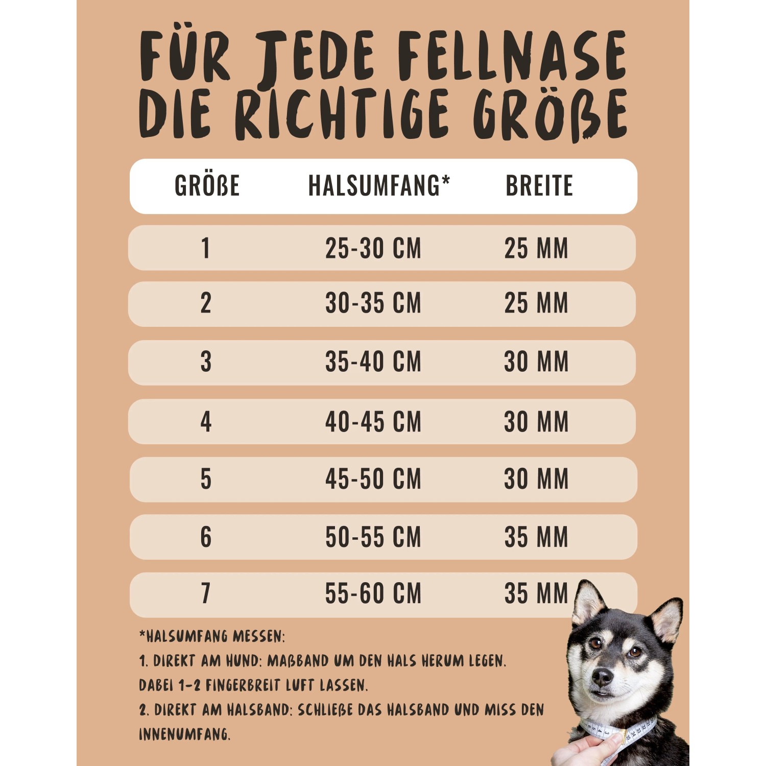 Größentabelle für Rudelkönig Hundehalsband Paola: Halsumfang und Breite für jede Größe.