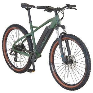 Prophete E-Bike MTB Dice 1.0 in Bronze Grün Matt, 27,5 Zoll. Hardtail E-Mountainbike mit Hinterradmotor.