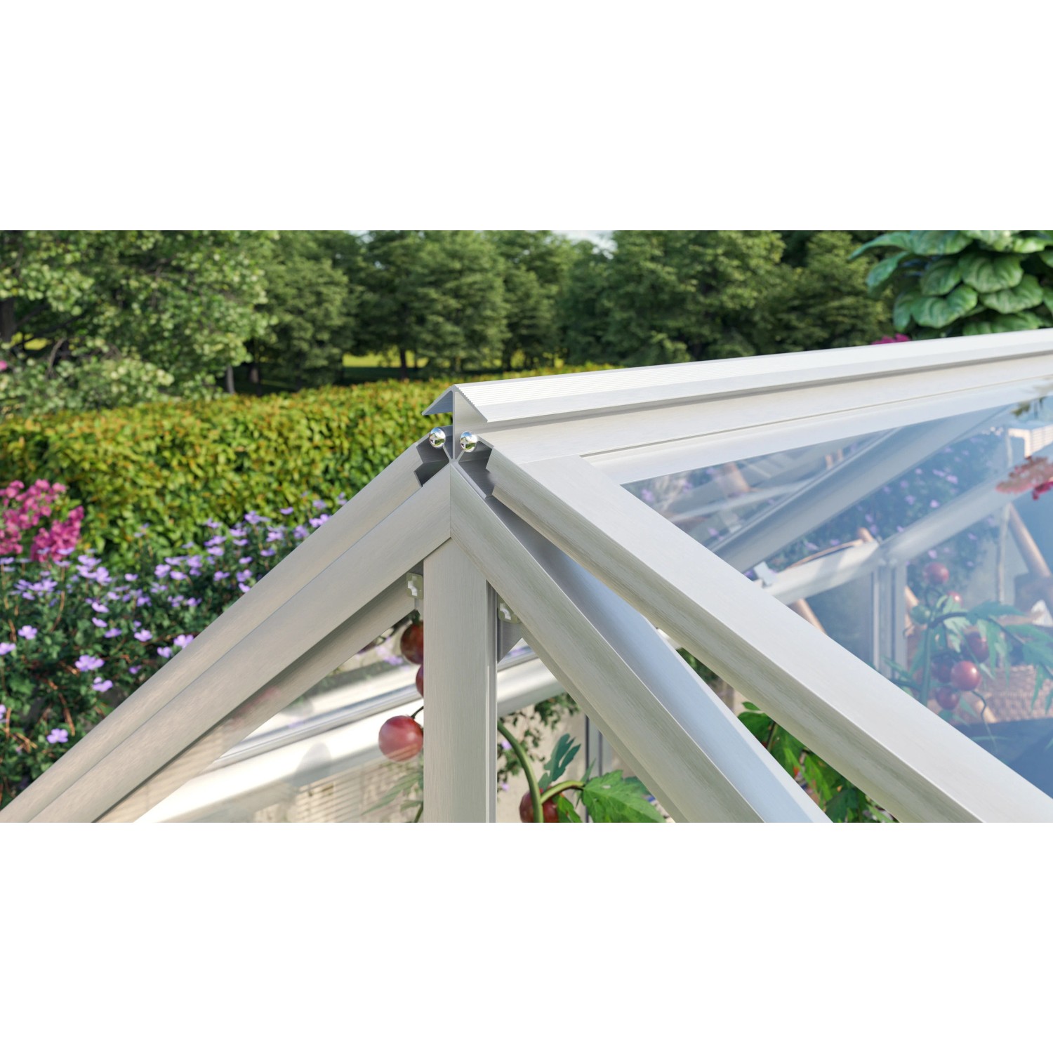 Detailaufnahme: Vitavia Frühbeet Gamma mit Alu-Rahmen und Sicherheitsglas. Ideal für die Anzucht.