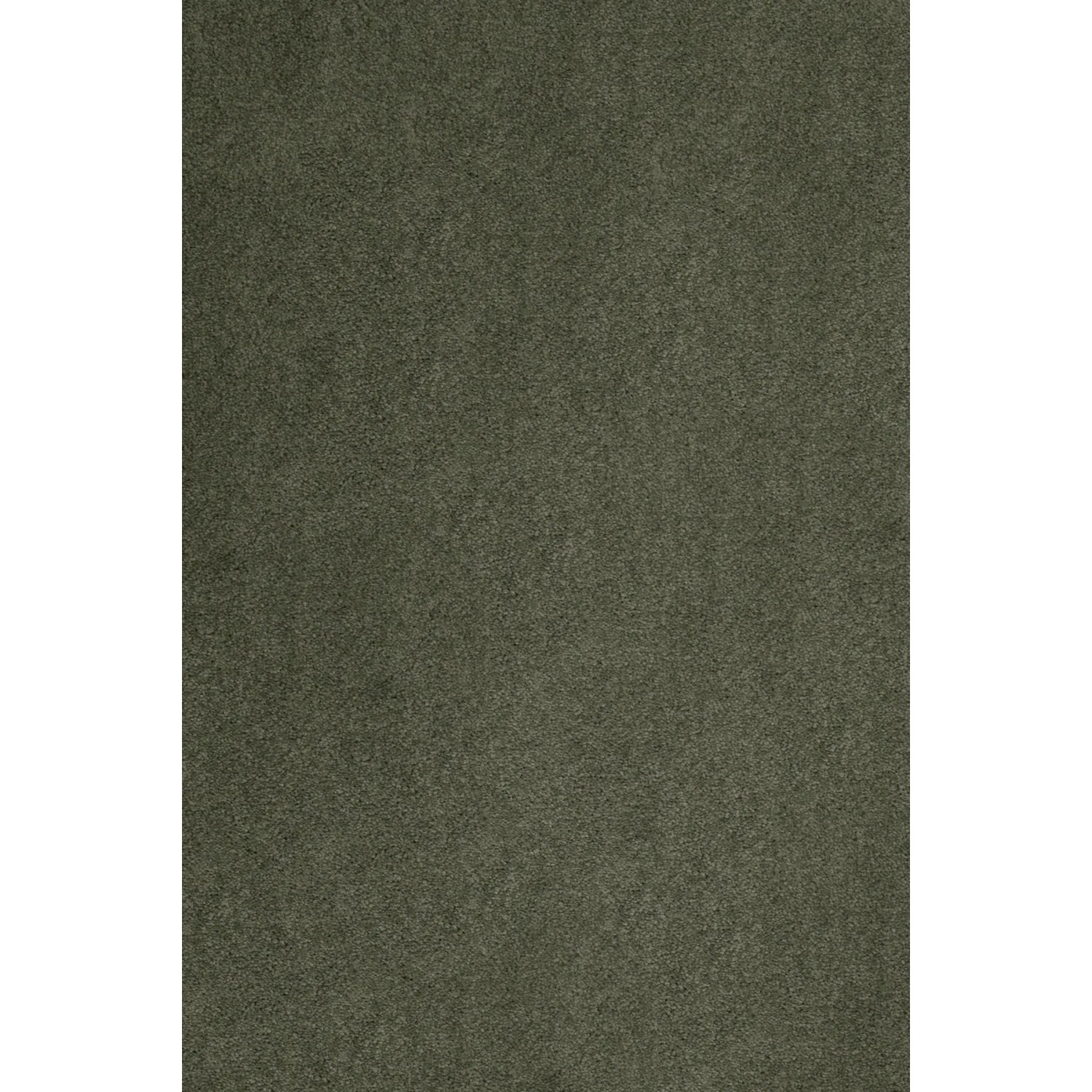 Teppichboden Meterware PRoteus Kräuselvelours Grün 500 cm kaufen bei OBI