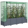 vidaXL Hochbeet mit Gewächshaus-Aufsatz in Rattan-Optik, bepflanzt mit Tomaten.