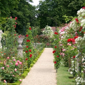 Romantischer Gartenweg mit schwarzem Relaxdays Rosenbogen als Rankhilfe für Rosen.