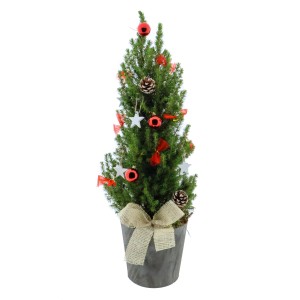 Dekorierte Zuckerhut-Fichte im Topf mit Schleife, Adventschmuck für Weihnachten.