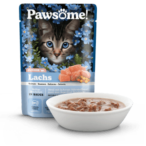Pawsome Katzen-Nassfutter Junior Lachs, mit Schale und Schüssel mit Futter.