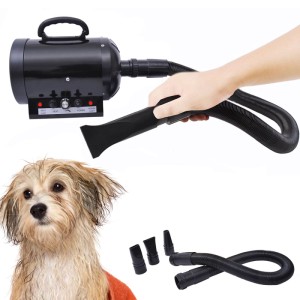 PawHut Profi Hundefön 2800W mit Schlauch, Düsen und nassem Hund. Einstellbare Temperatur & Windstärke für Fellpflege.