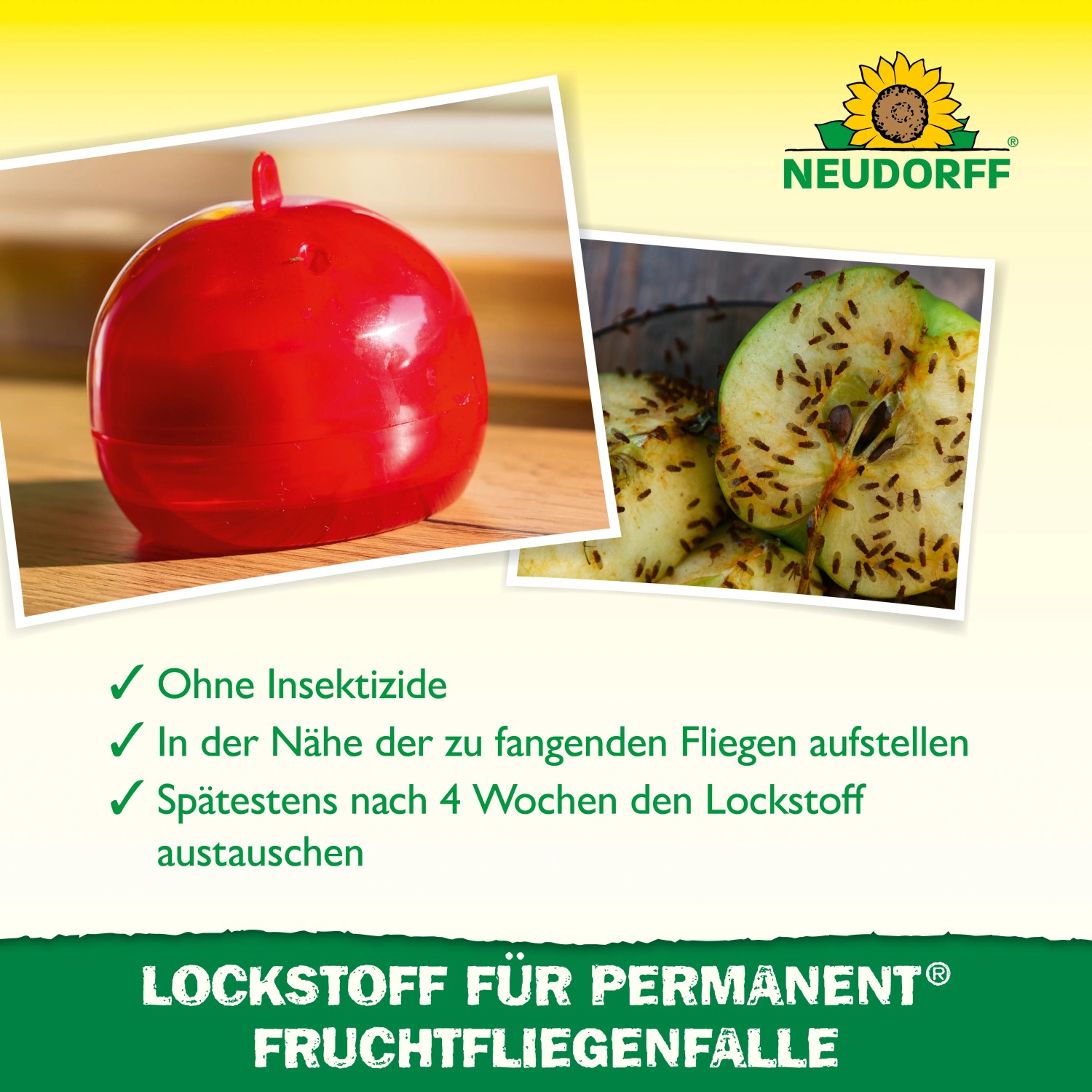 Neudorff Fruchtfliegenfalle Lockstoff, 2er Set. Rot, apfelförmig, zur Bekämpfung von Fruchtfliegen.