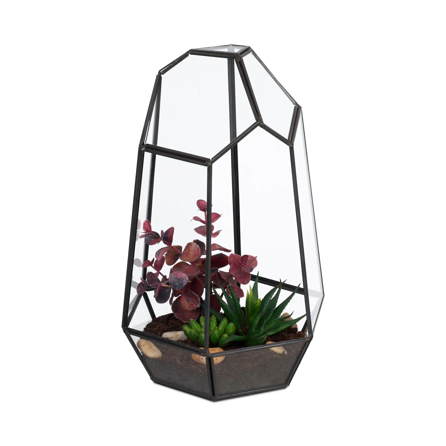 Relaxdays Pflanzenterrarium Glas Schwarz 25 cm x 17 cm x 15 cm