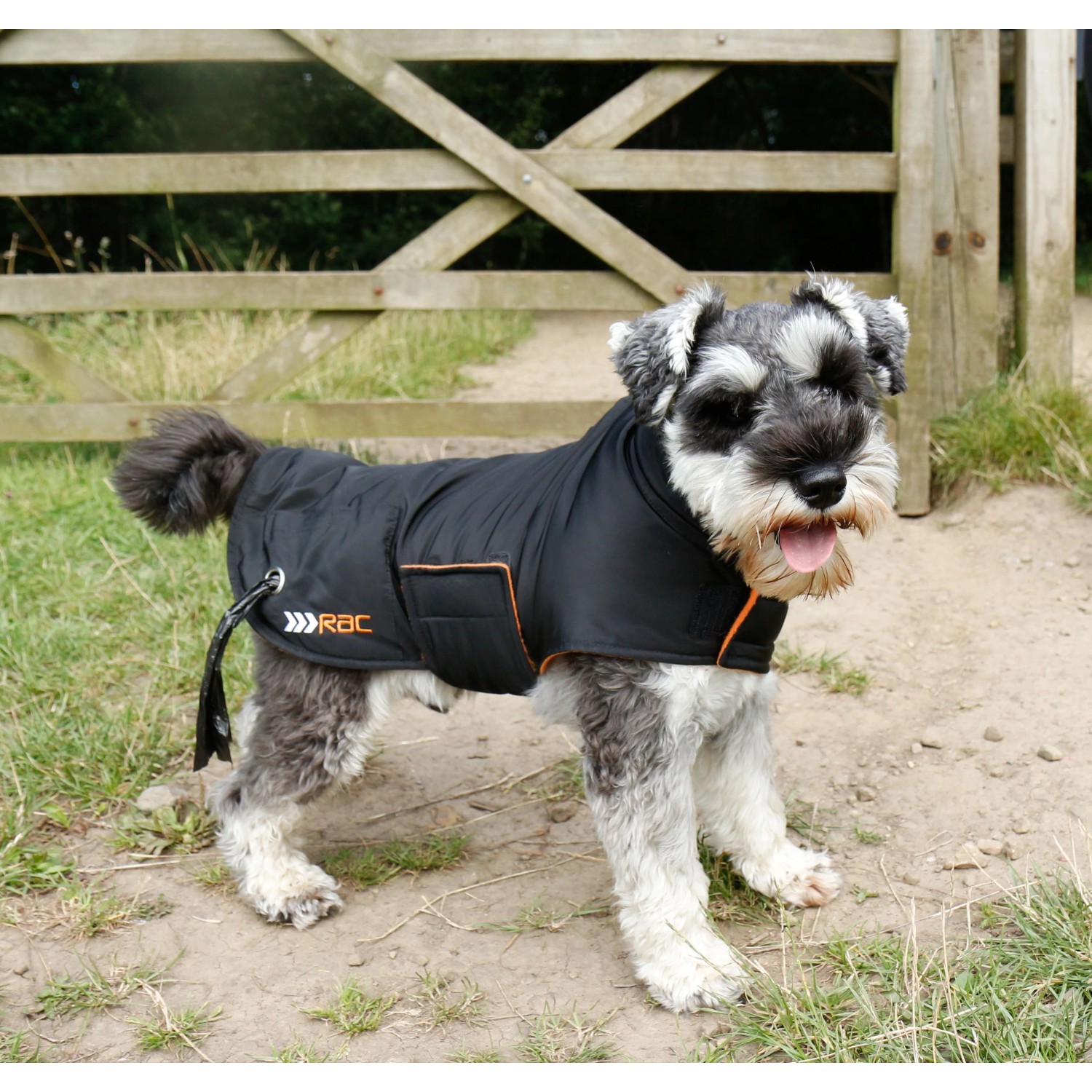 Schwarzer Heim RAC Regenmantel mit Fleece für Hunde, Größe S, Rückenlänge 35 cm.