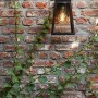 Anthrazitfarbene Lutec LED Solar-Wandleuchte Fia an Backsteinmauer mit Efeu.