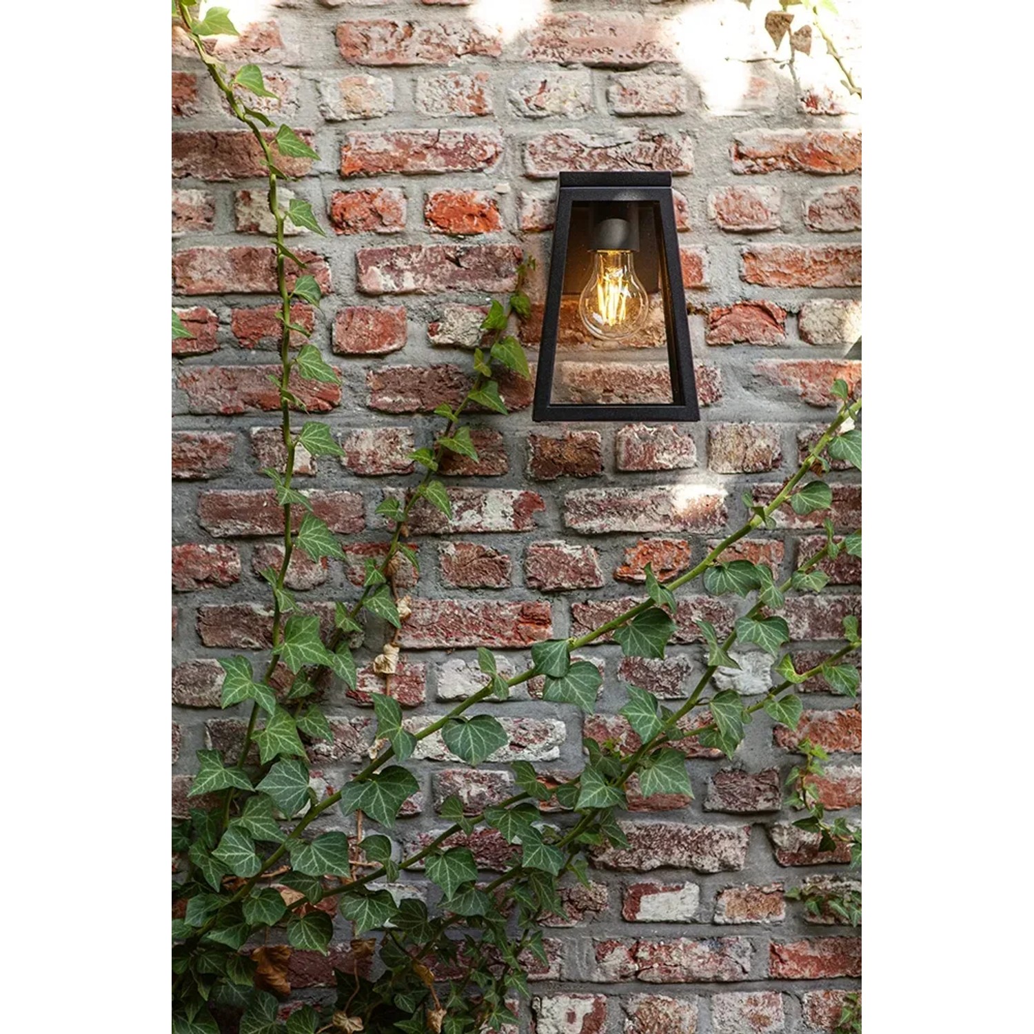 Anthrazitfarbene Lutec LED Solar-Wandleuchte Fia an Backsteinmauer mit Efeu.